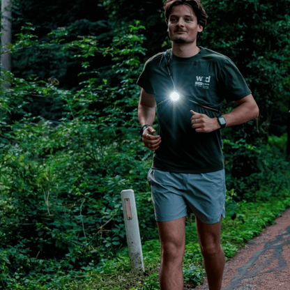 Boston 500 - Borstlamp