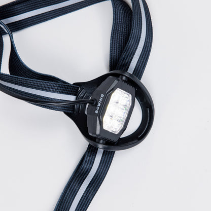 Boston 600 - Borstlamp